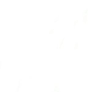 Meet your Posher, Jared